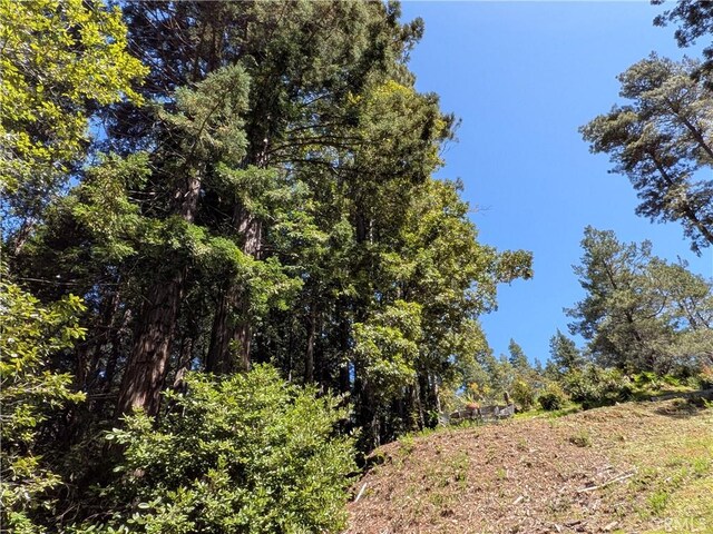 38160 Ocean Ridge Dr, Gualala, CA 95445 - photo 15