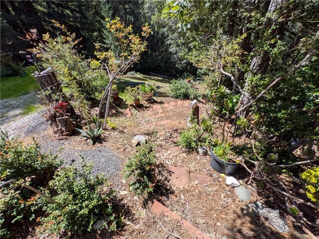 38160 Ocean Ridge Dr, Gualala, CA 95445 - photo 10