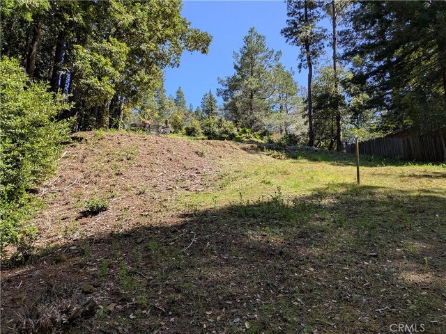 38160 Ocean Ridge Dr, Gualala, CA 95445 - photo 14