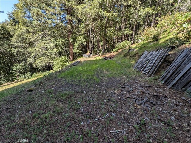 38160 Ocean Ridge Dr, Gualala, CA 95445 - photo 11