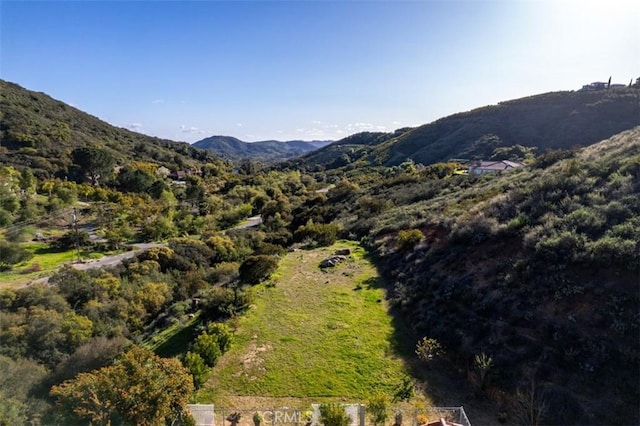 view of mountain feature