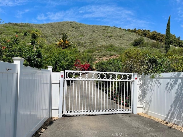 view of gate featuring a mountain view and fence