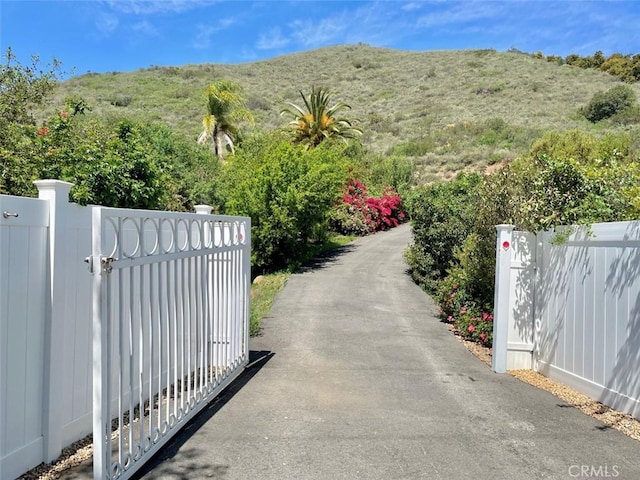 view of street featuring a mountain view, driveway, a gated entry, and a gate