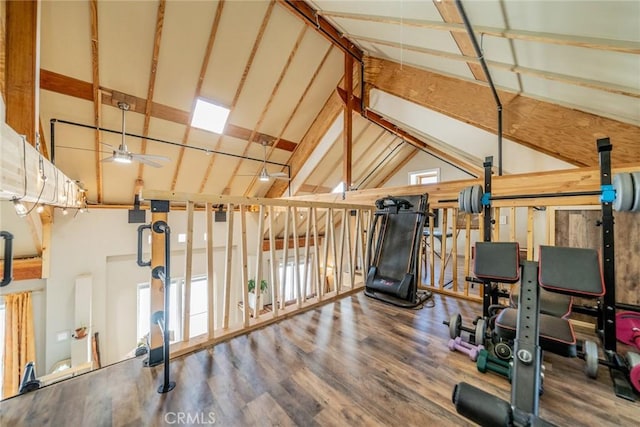 workout room with ceiling fan, high vaulted ceiling, wood finished floors, and a healthy amount of sunlight