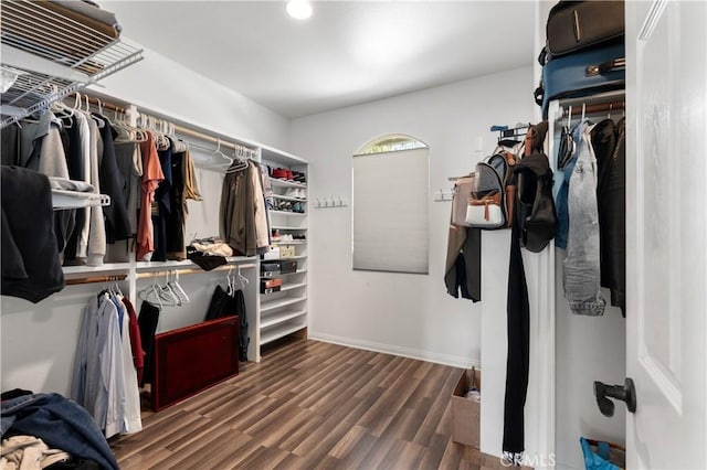 spacious closet with wood finished floors