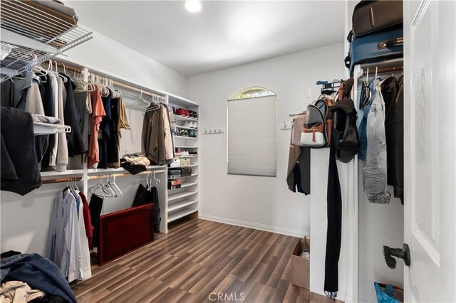 14445 Dove Canyon Dr, Riverside, CA 92503 - walk in closet featuring wood finished floors