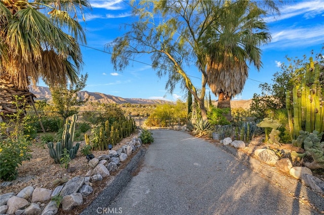 view of street with a mountain view
