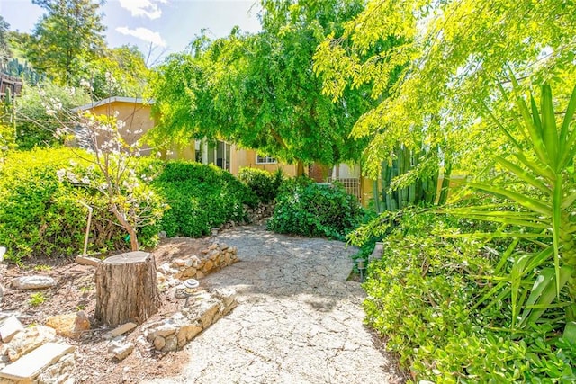 10058 Sunland Blvd, Sunland, CA 91040 - photo 21