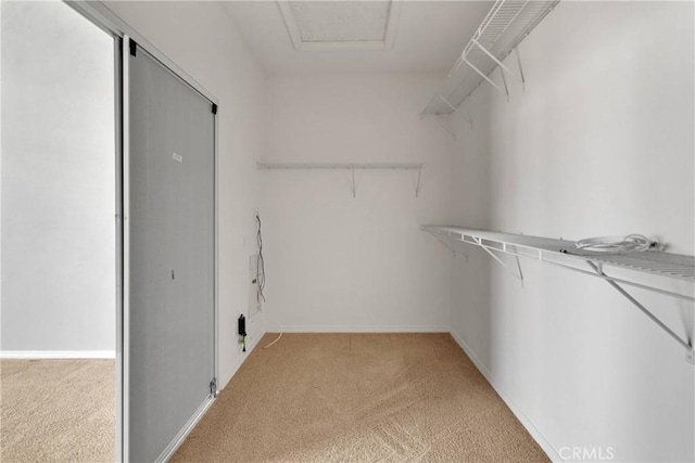 13204 Monrovia St, Hesperia, CA 92344 - walk in closet featuring light colored carpet