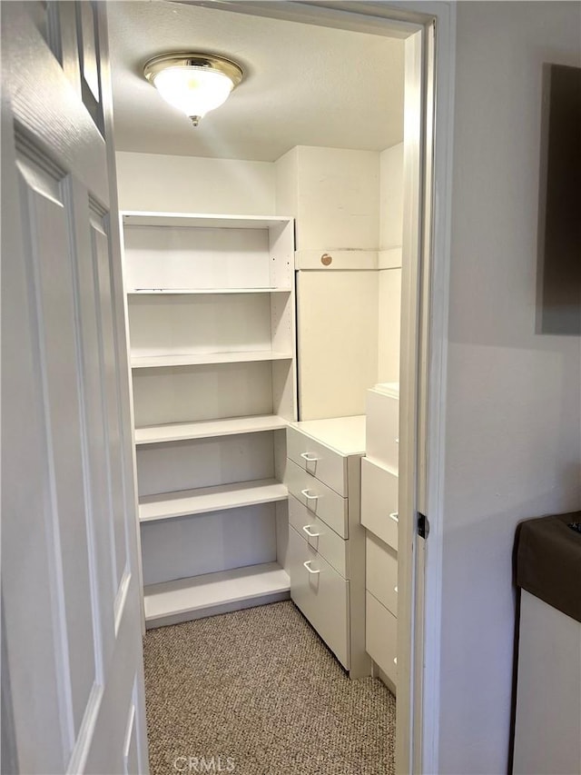 interior space featuring light colored carpet