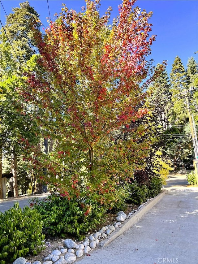 863 Oak Rd, Lake Arrowhead, CA 92385 - exterior space