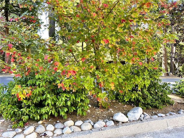 863 Oak Rd, Lake Arrowhead, CA 92385 - view of details