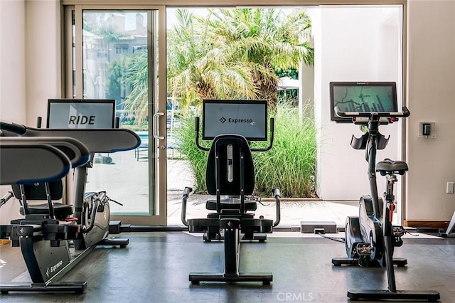 57 Plaza Brisas, San Juan Capistrano, CA 92675 - view of workout area