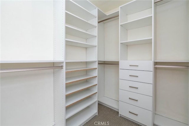 24461 Peacock St, Lake Forest, CA 92630 - view of spacious closet