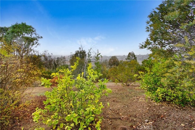 view of landscape
