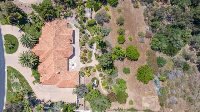 31396 Lake Vista Cir, Bonsall, CA 92003 - photo 66