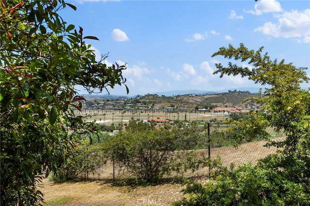 31396 Lake Vista Cir, Bonsall, CA 92003 - photo 58
