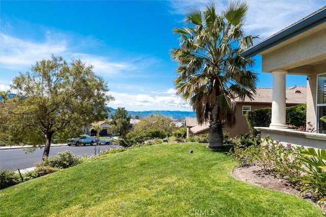 14209 Wrangell Ln, Canyon Country, CA 91387 - view of grassy yard