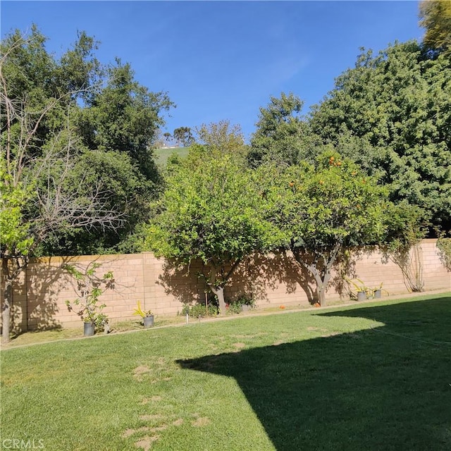 view of yard featuring fence
