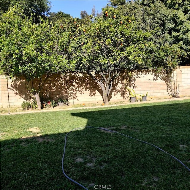 view of yard with a fenced backyard