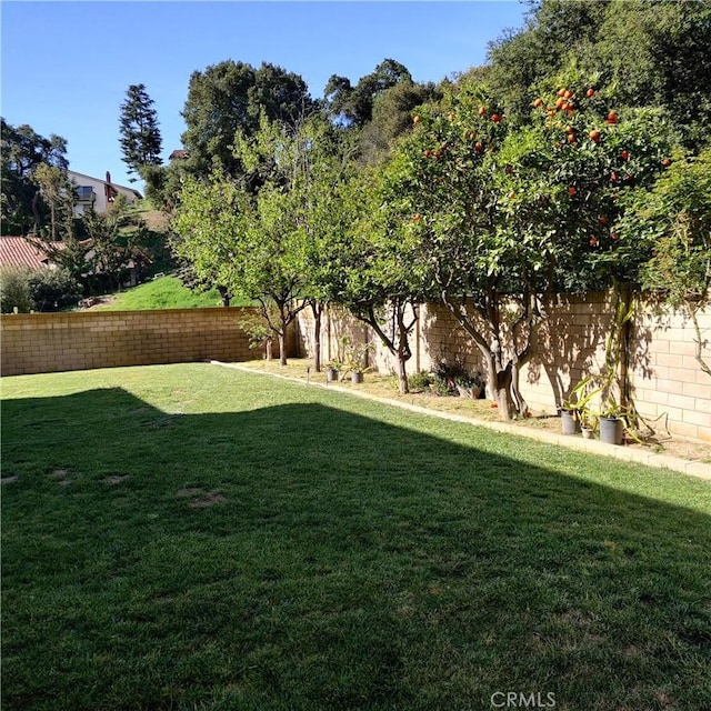 view of yard featuring a fenced backyard