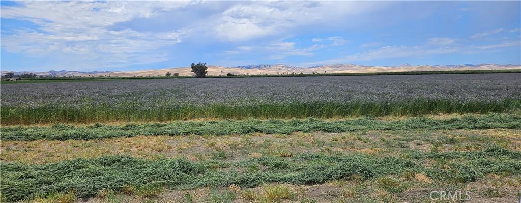 26749 Cottonwood Rd, Gustine, CA 95322 - photo 1