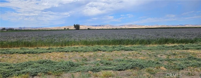 26749 Cottonwood Rd, Gustine, CA 95322 - photo 1