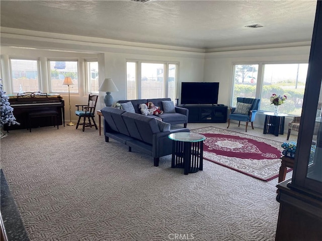 745 Taylor St, Crescent City, CA 95531 - photo 10