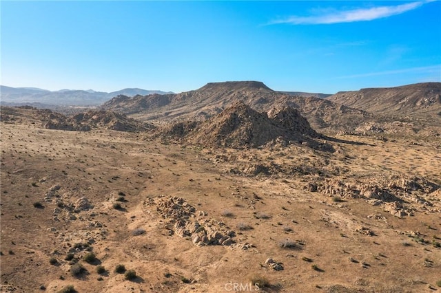 54559 Saratoga Rd, Pioneertown, CA 92268 - photo 8
