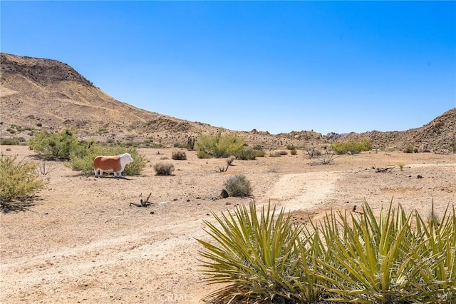54559 Saratoga Rd, Pioneertown, CA 92268 - photo 45