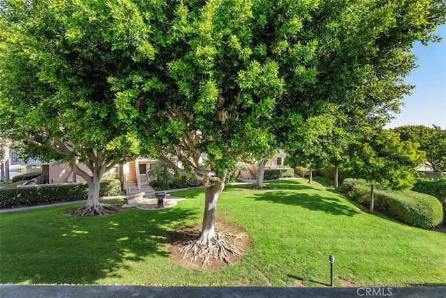 19132 Shoreline Ln Unit 6, Huntington Beach, CA 92648 - view of green lawn