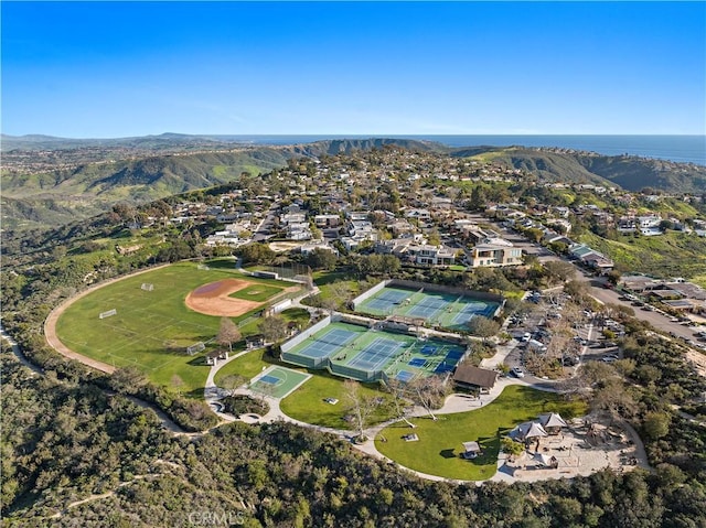 bird's eye view