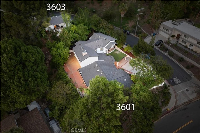 bird's eye view