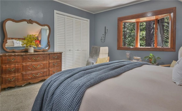 carpeted bedroom featuring a closet and ornamental molding