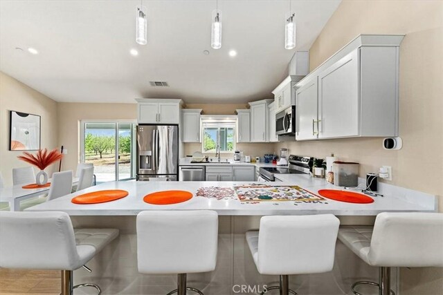 kitchen featuring light countertops, plenty of natural light, stainless steel appliances, and visible vents