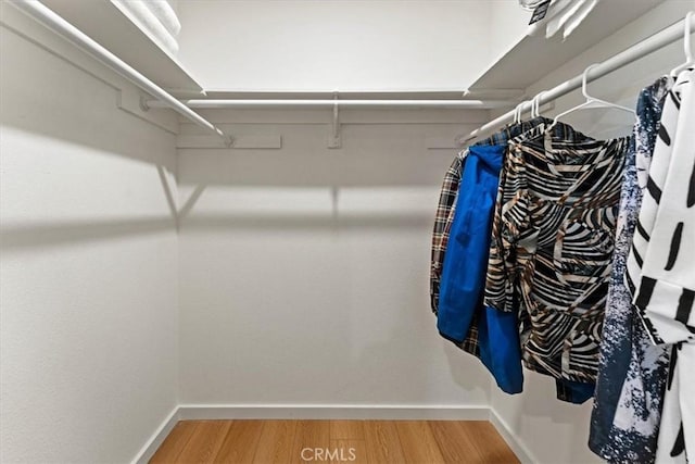 walk in closet with wood finished floors