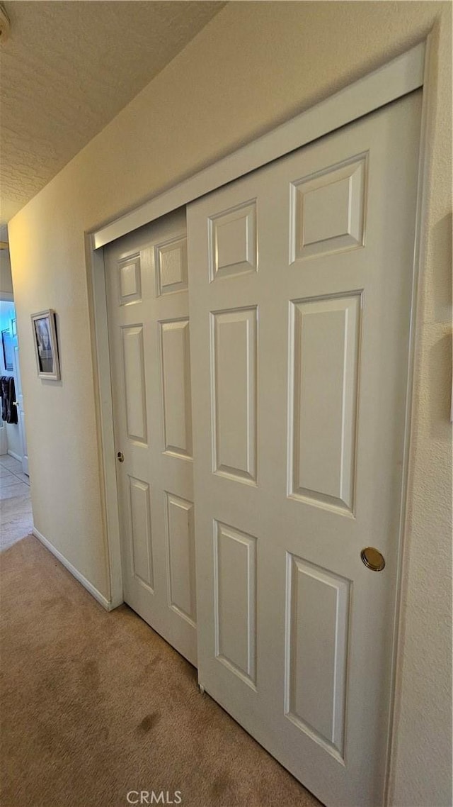 details featuring baseboards, carpet, and a textured ceiling