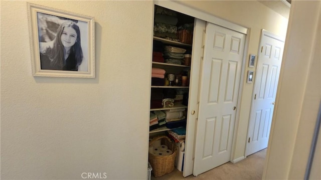 view of closet