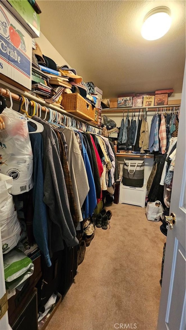 spacious closet featuring carpet flooring