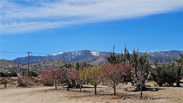 view of mountain feature