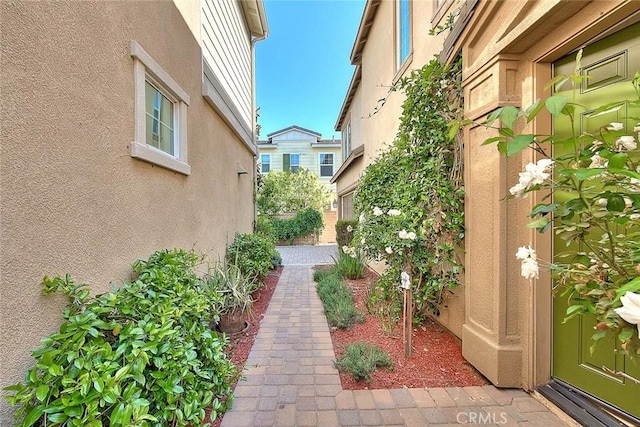 2925 E Via Terrano, Ontario, CA 91764 - view of yard
