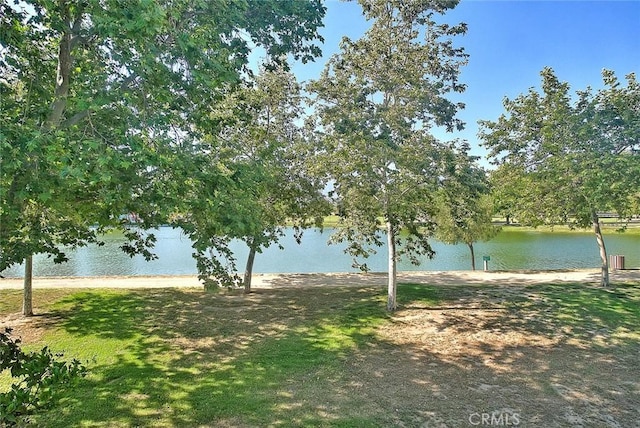2925 E Via Terrano, Ontario, CA 91764 - water view