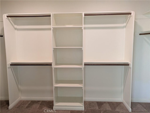 spacious closet featuring carpet flooring