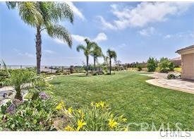 4069 Nancy Cir, Corona, CA 92881 - view of green lawn