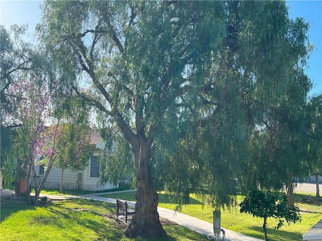 11102 Avolencia Pl, Garden Grove, CA 92840 - view of grassy yard