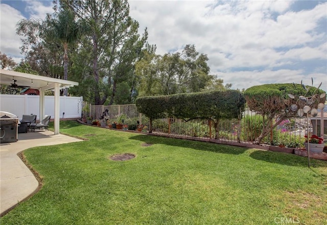view of yard featuring a fenced backyard and a patio area