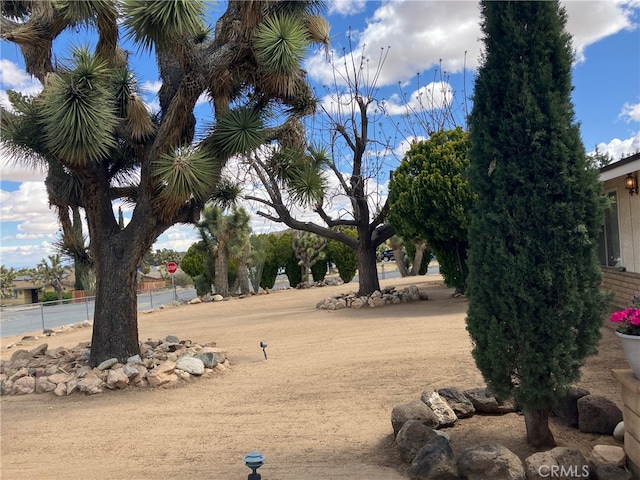 56707 Desert Gold Dr, Yucca Valley, CA 92284 - view of yard