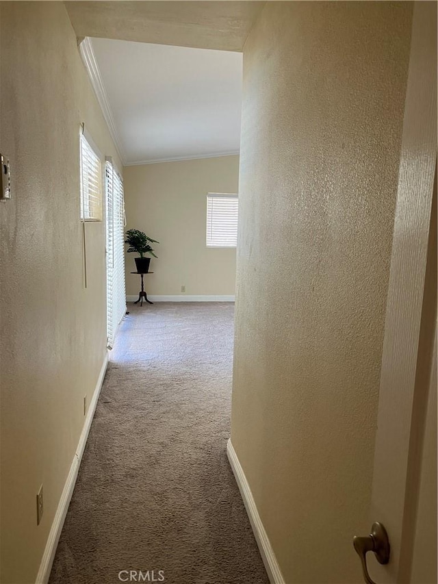 56707 Desert Gold Dr, Yucca Valley, CA 92284 - corridor with ornamental molding, carpet, and a textured wall