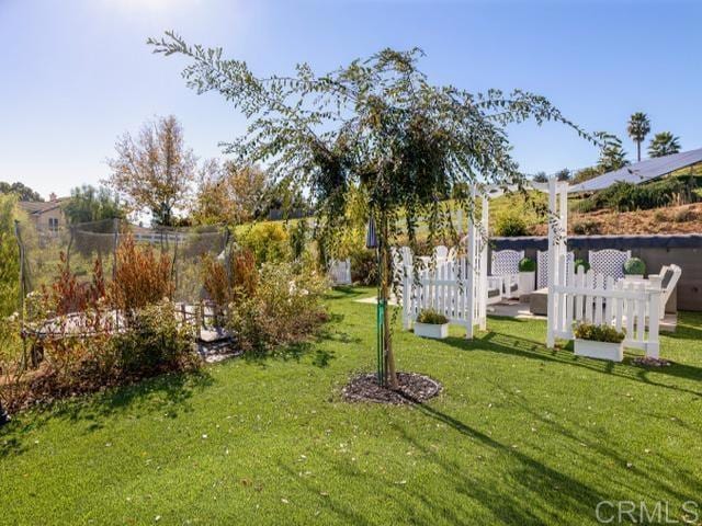 2255 Via Dulcea, Fallbrook, CA 92028 - view of yard