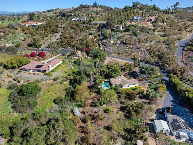 drone / aerial view